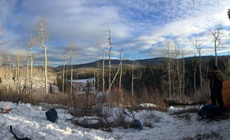 Fain H.'s photo of a dispersed camping area at Four Mile Road Dispersed near Gunnison National Forest