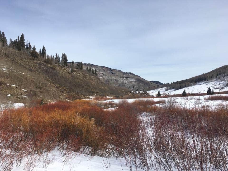Camper-submitted photo at Four Mile Road Dispersed near Glenwood Springs, CO
