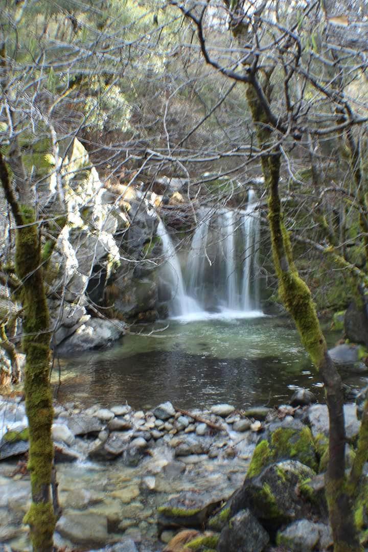 Camping near Norcross Campground: Oak Bottom Campground, Seiad Valley, California