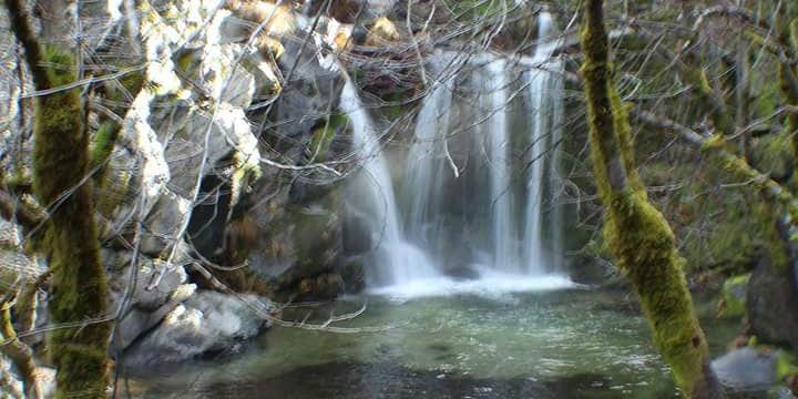 Camper submitted image from Oak Bottom Campground