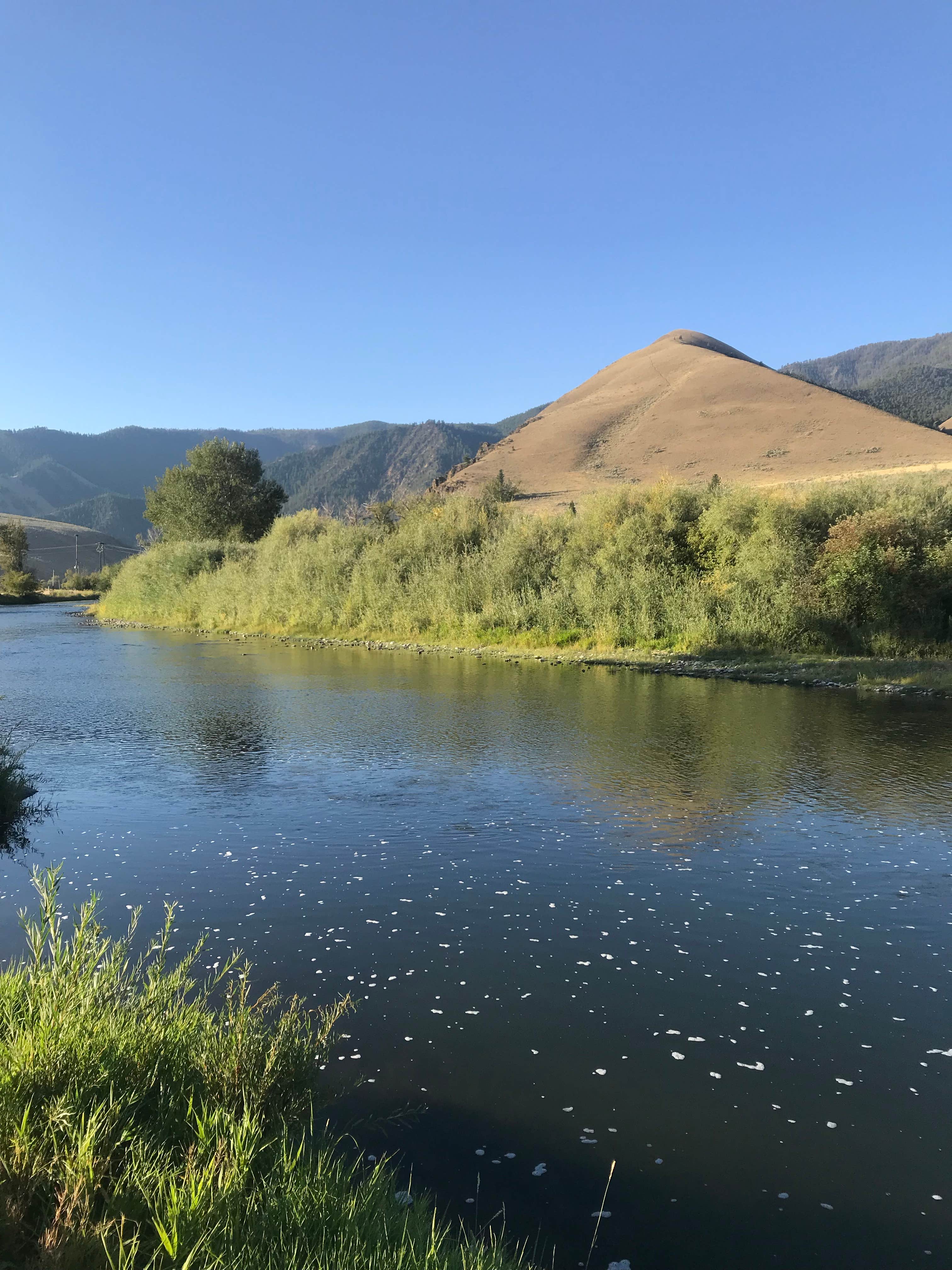 Camper-submitted photo at Wagonhammer RV Park & Campground near Gibbonsville, ID