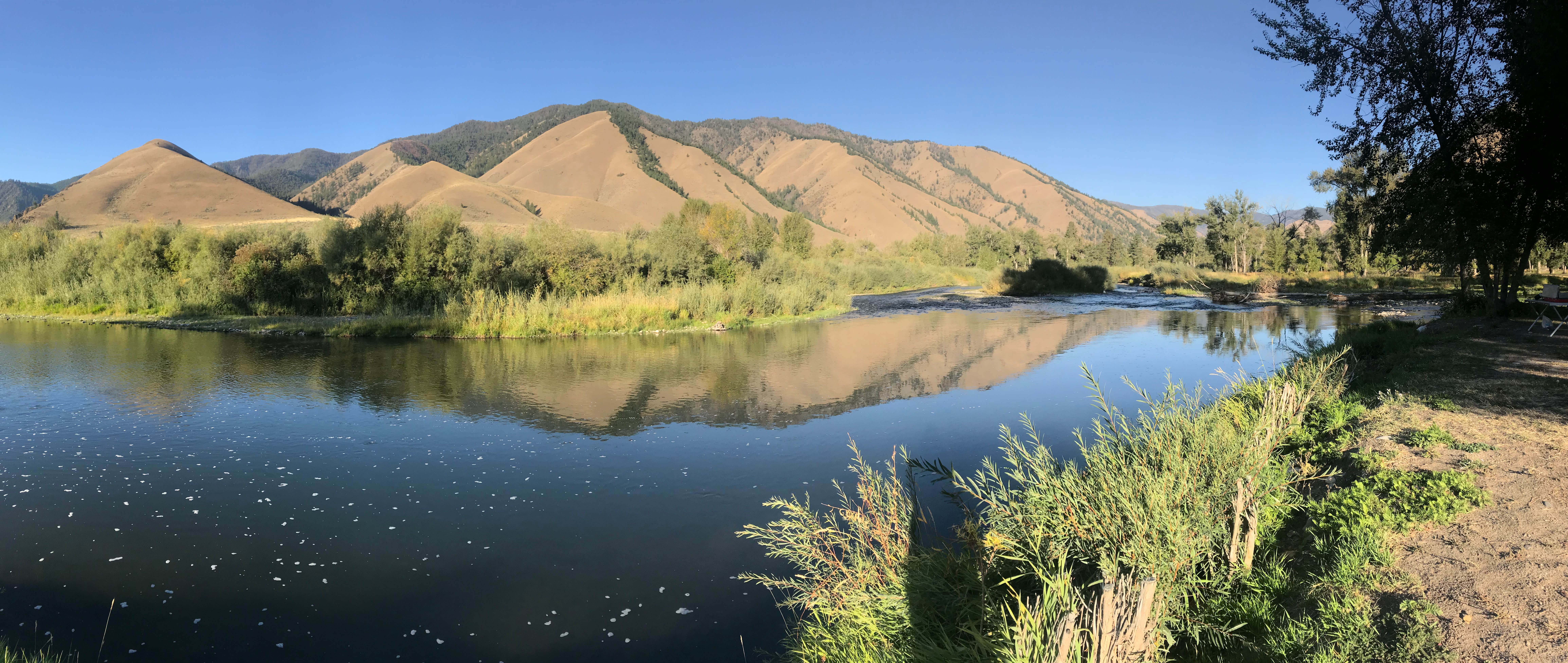 Camper-submitted photo at Wagonhammer RV Park & Campground near Gibbonsville, ID