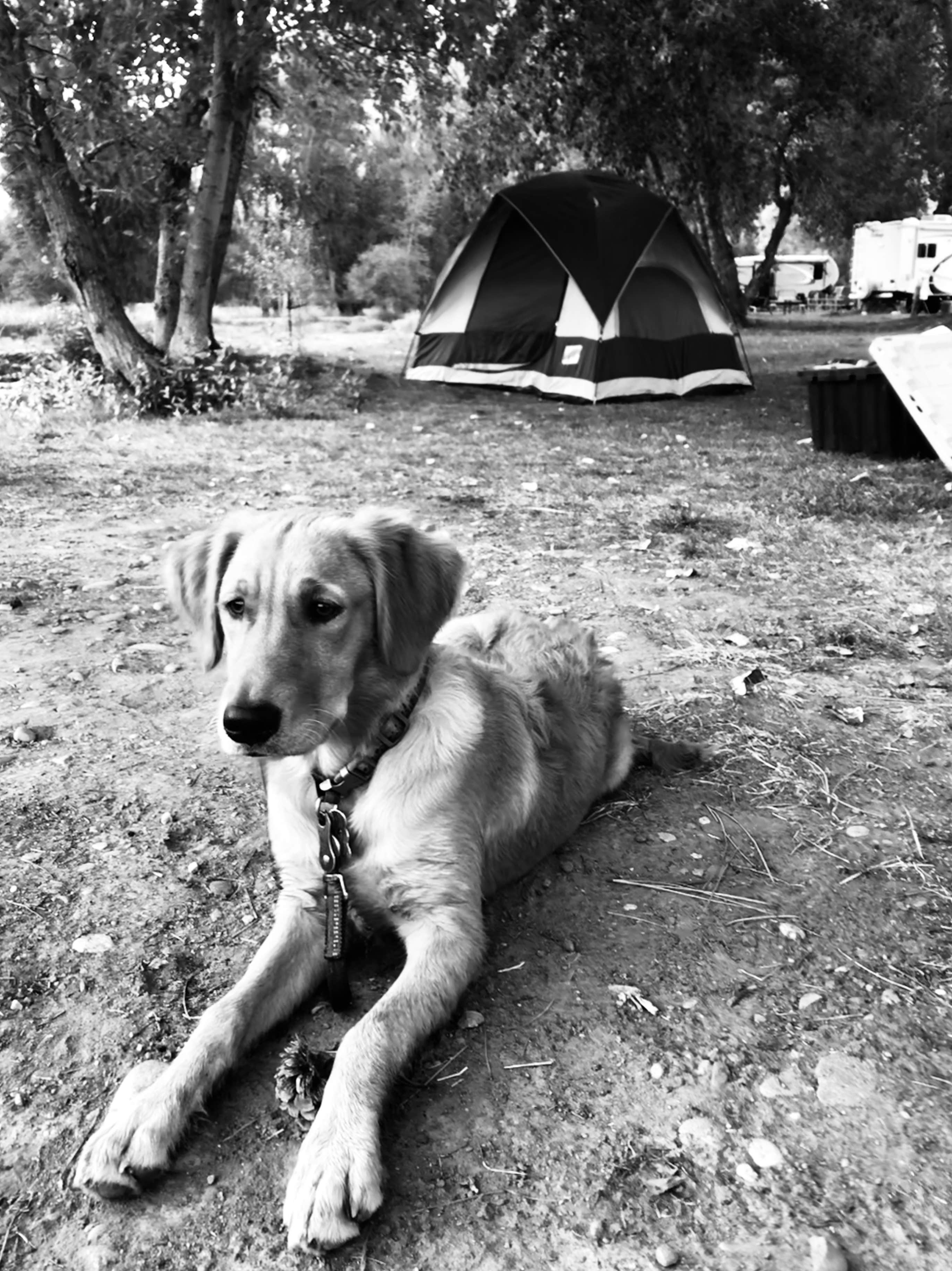 Camper-submitted photo at Wagonhammer RV Park & Campground near Gibbonsville, ID