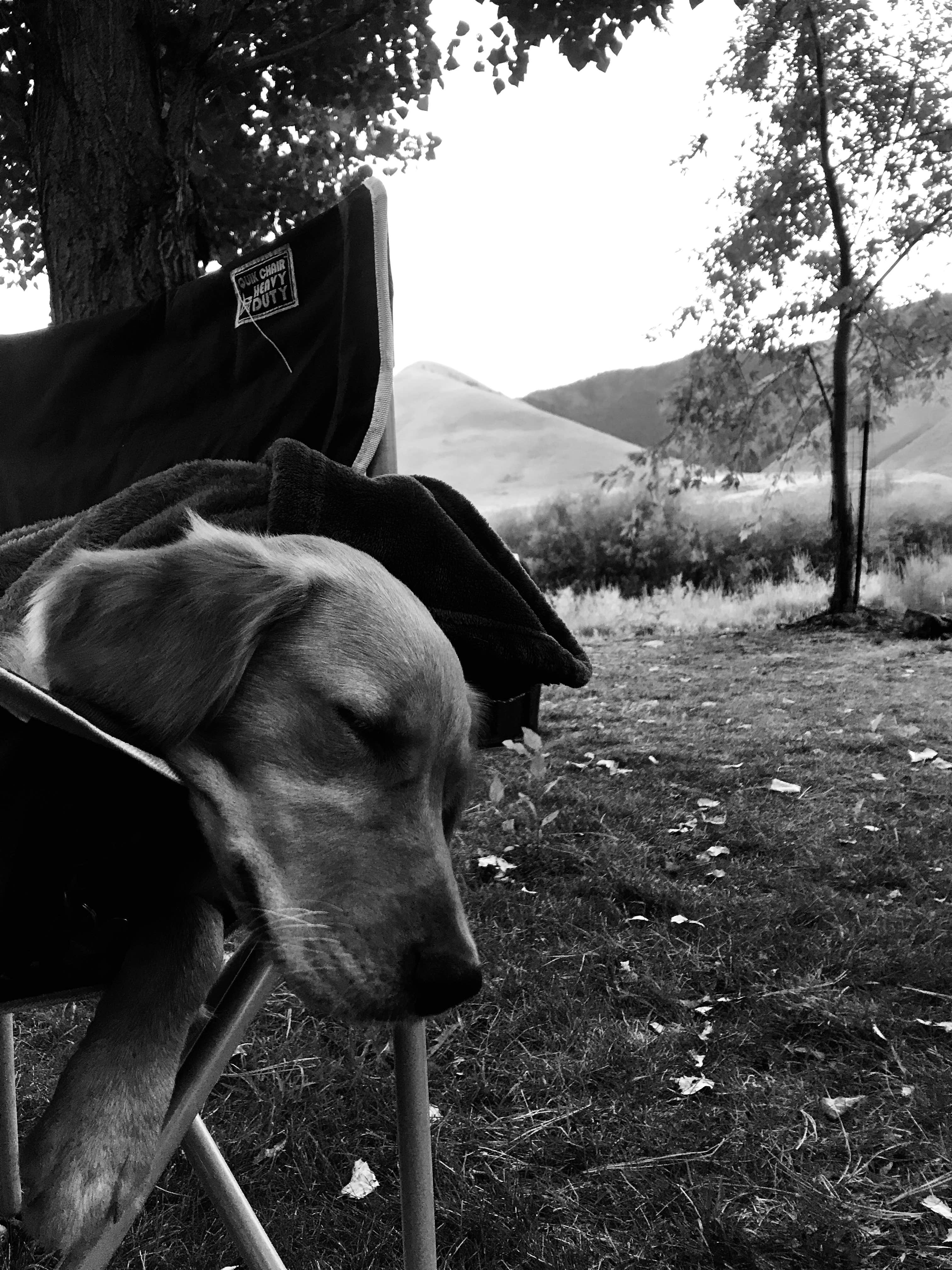 Camper-submitted photo at Wagonhammer RV Park & Campground near Gibbonsville, ID