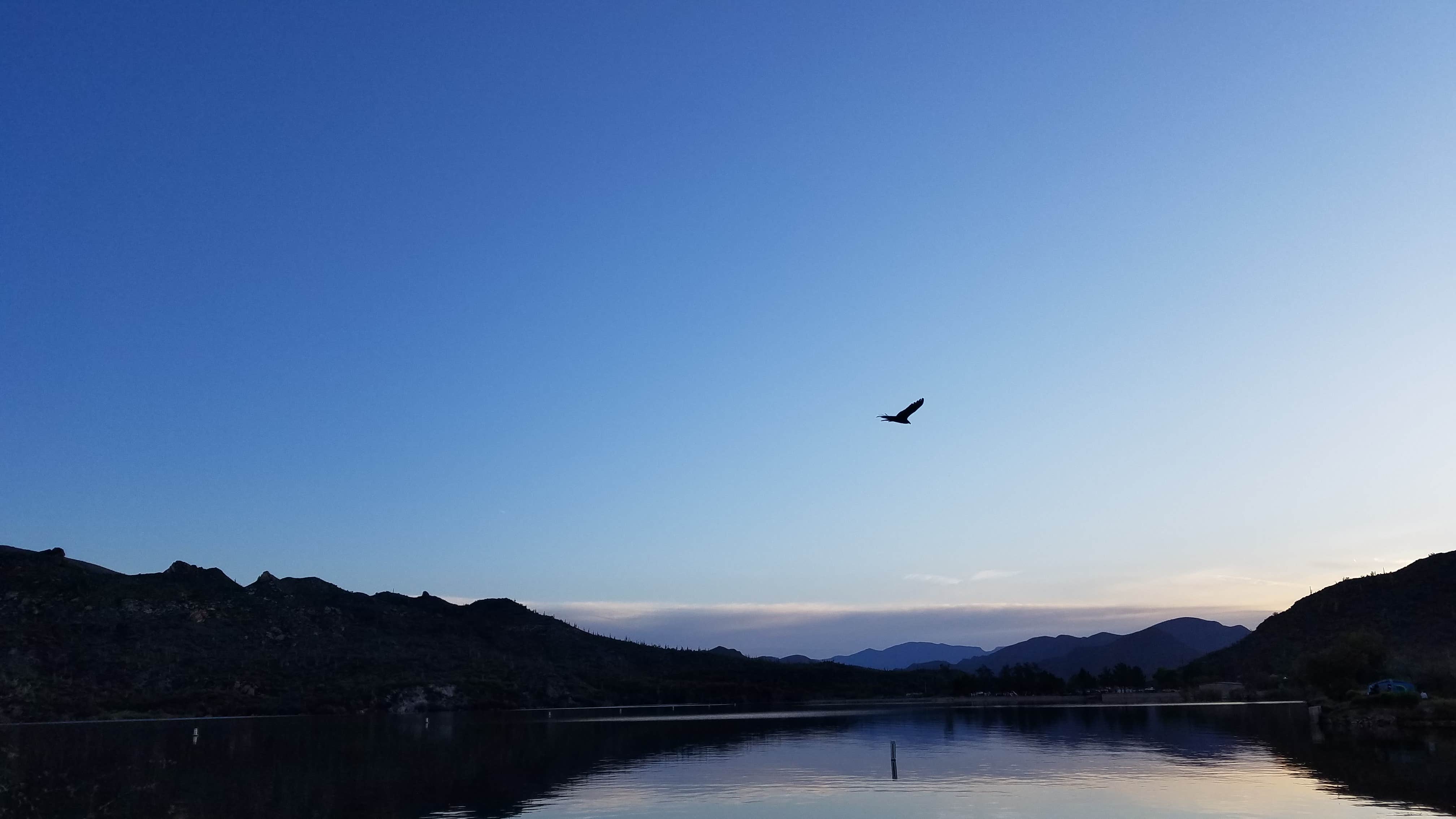 Camper submitted image from Apache Lake Marina & Resort - 5