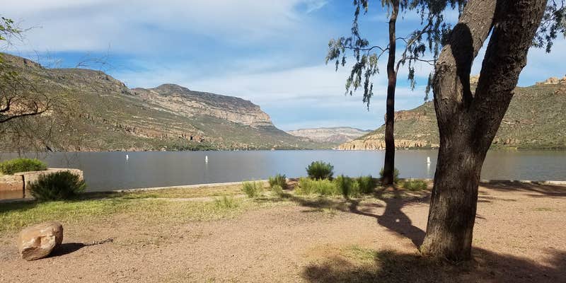 Camper submitted image from Apache Lake Marina & Resort