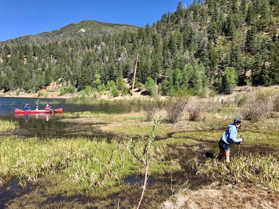 Camper-submitted photo at Cabresto Lake Campground near Red River, NM