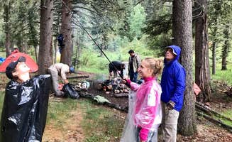 Lisa C.'s photo at Mora Recreation Area Campground — Pecos Canyon State Park near Pinos Altos, NM