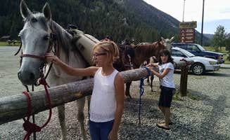 Lisa C.'s photo of camping with a horse at Cinnamon Lodge & Adventures near Virginia City, MT