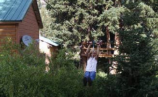 Lisa C.'s photo of a cabin at Cinnamon Lodge & Adventures near Yellowstone National Park