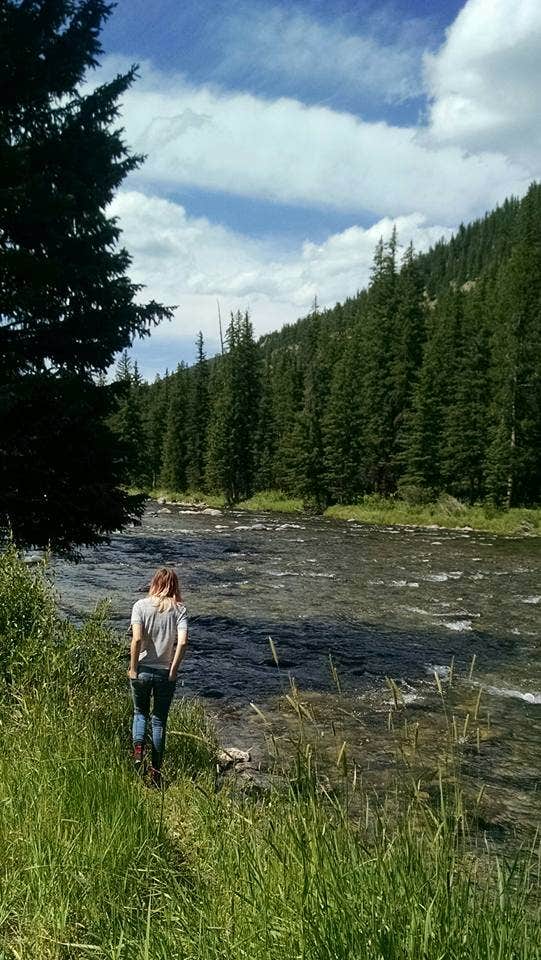 Camper-submitted photo at Cinnamon Lodge & Adventures near Custer Gallatin National Forest