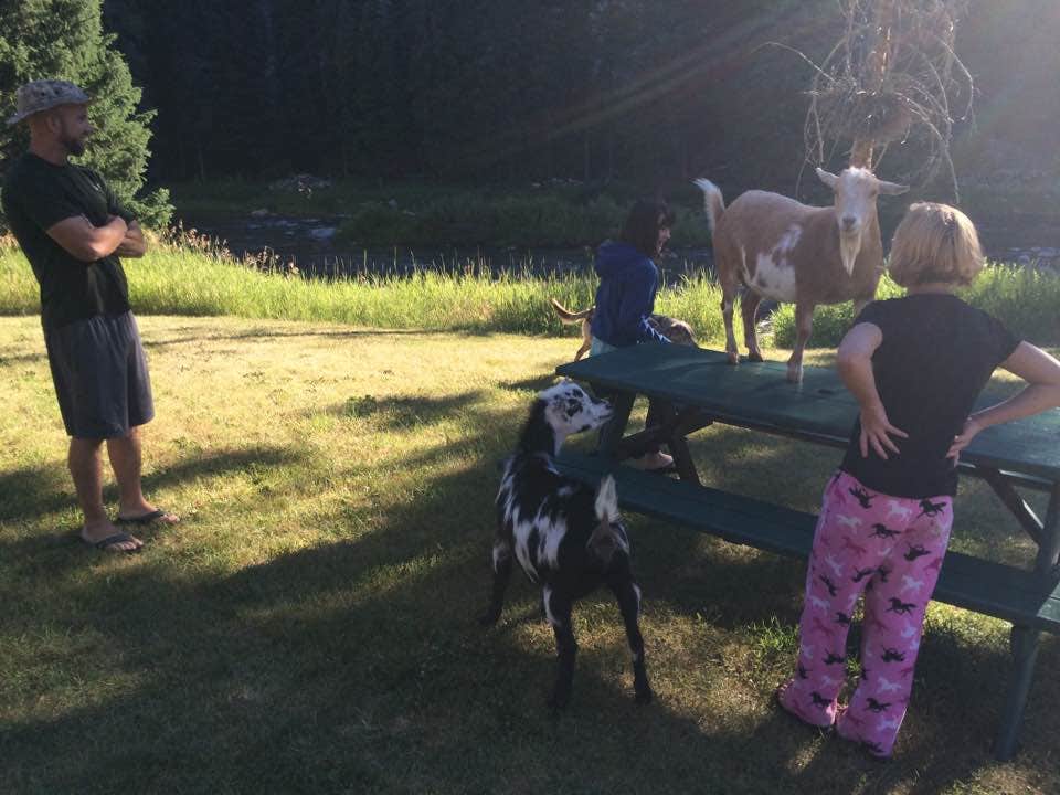 Camper submitted image from Cinnamon Lodge & Adventures - 5