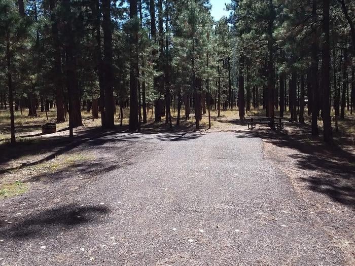 Camper submitted image from Sitgreaves National Forest Canyon Point Campground - 2