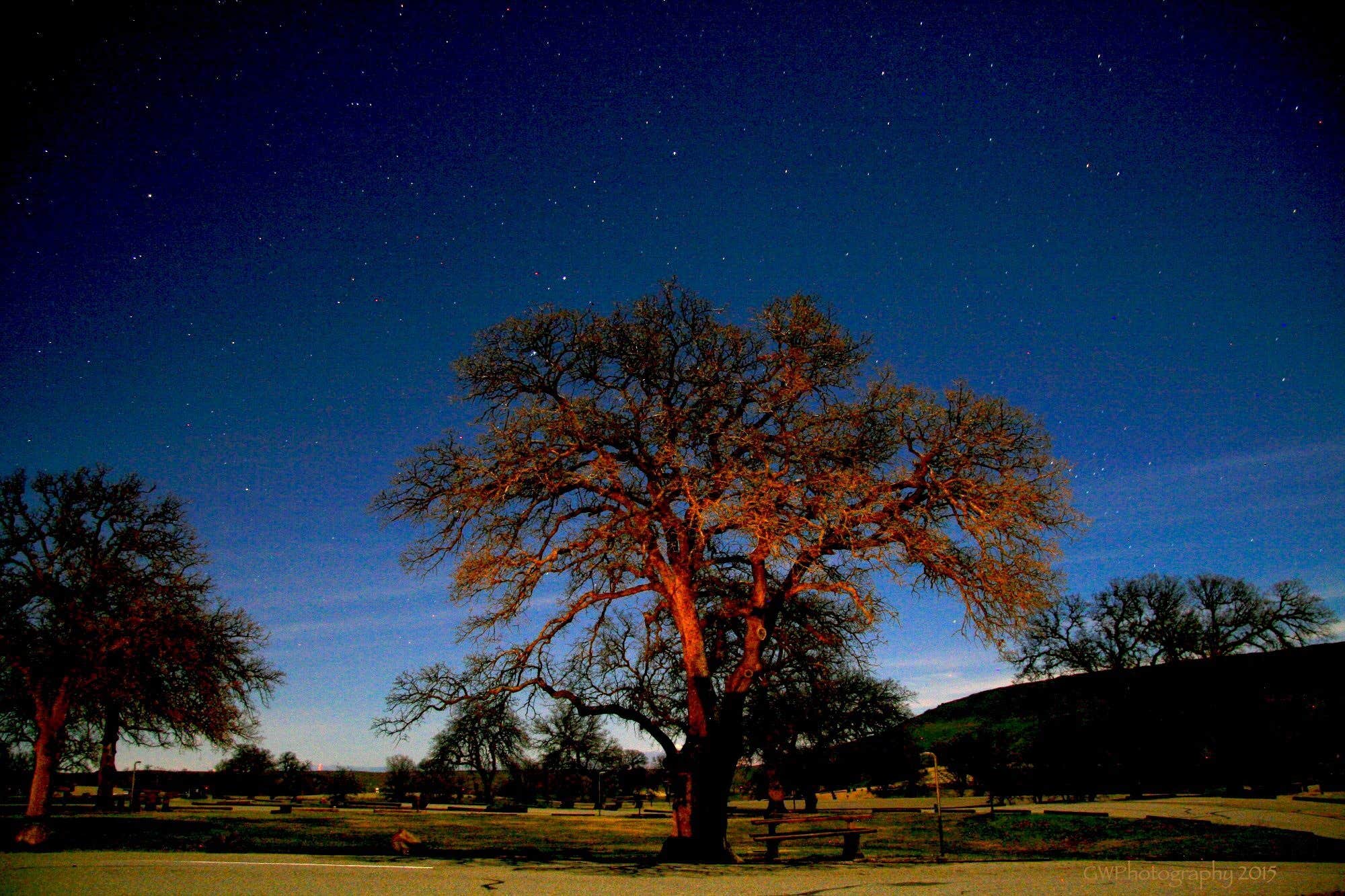 Camper submitted image from Buckhorn Recreation Area - 4