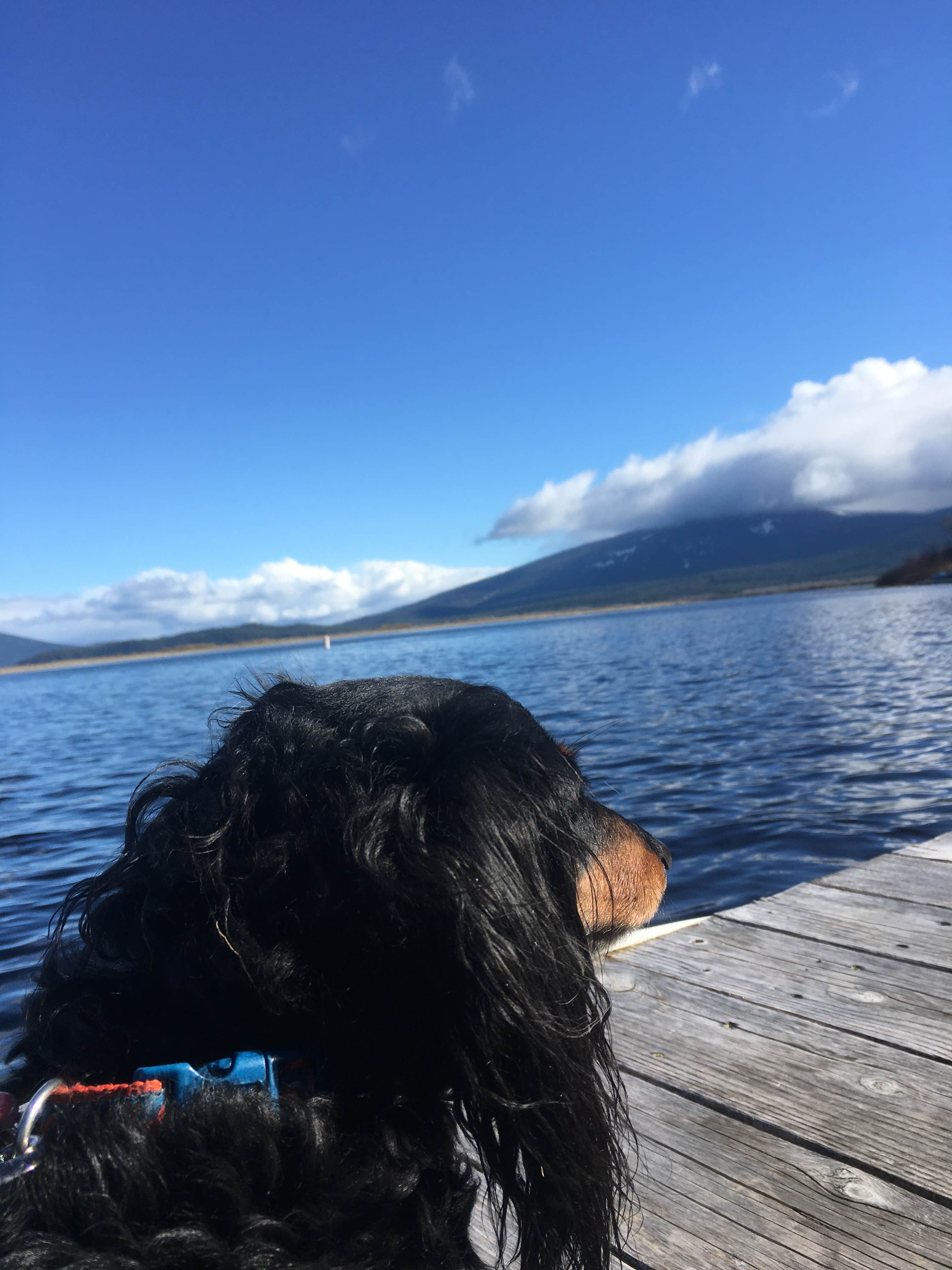 Camper-submitted photo at Rocky Point Resort near Fremont-Winema National Forest