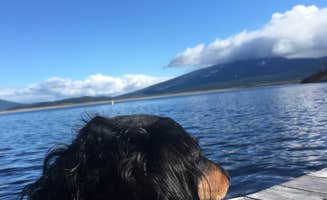 Tyson T.'s photo of camping with pets at Rocky Point Resort near Tulelake, CA