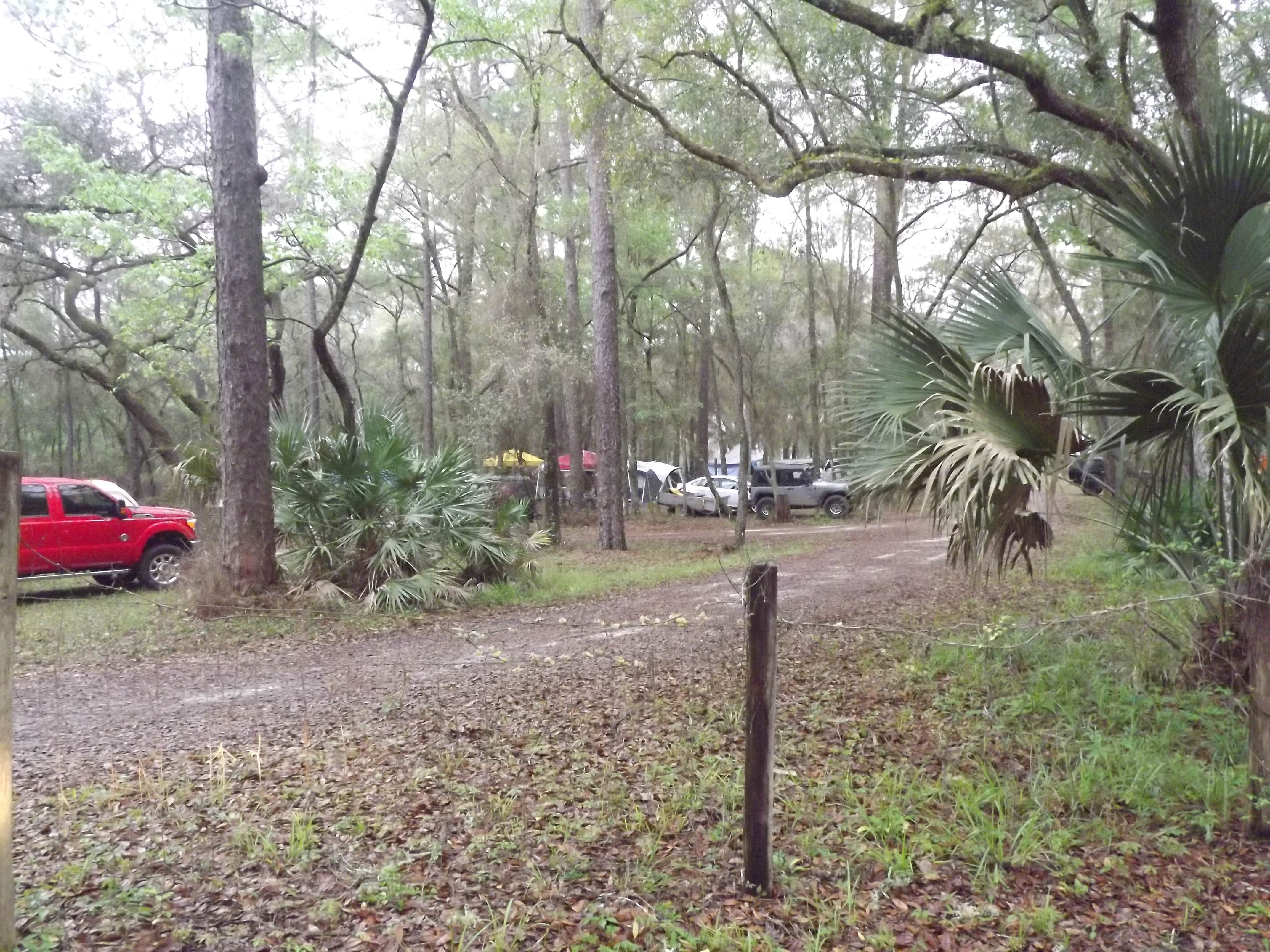 Camper-submitted photo at Lake Delancy East NF Campground near Waldo, FL