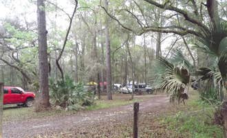 Camping near Shanty Pond Campground: Lake Delancy East NF Campground, Salt Springs, Florida