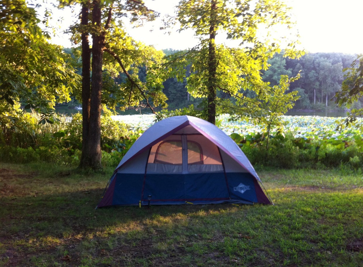 Camper submitted image from Lake Murphysboro State Park Campground - 4