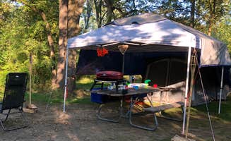 Laikyn C.'s photo at Mini Mountain Campground near Bridgman, MI
