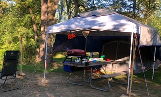 Camping near Dunewood Campground — Indiana Dunes National Park: Mini Mountain Campground, New Carlisle, Indiana