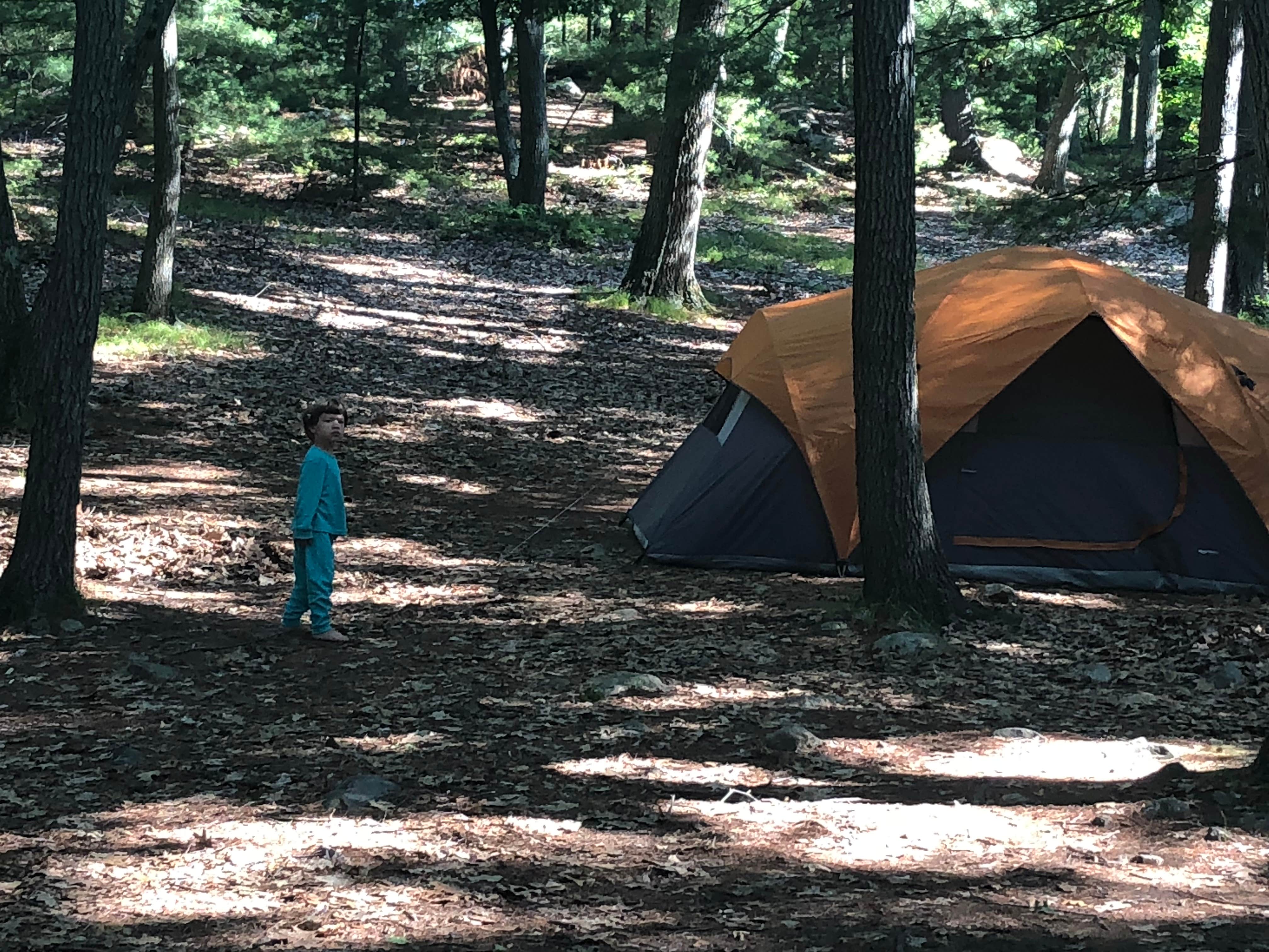 Michael V.'s photo of tent camping at Camp Nihan Education Center near Newmarket, NH