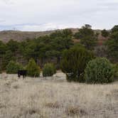 Review photo of East Ridge Campground in Royal Gorge by Shannon C., April 21, 2019