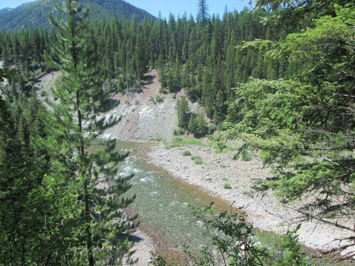 Camper submitted image from Big Creek Campground (flathead National Forest, Mt) - 1