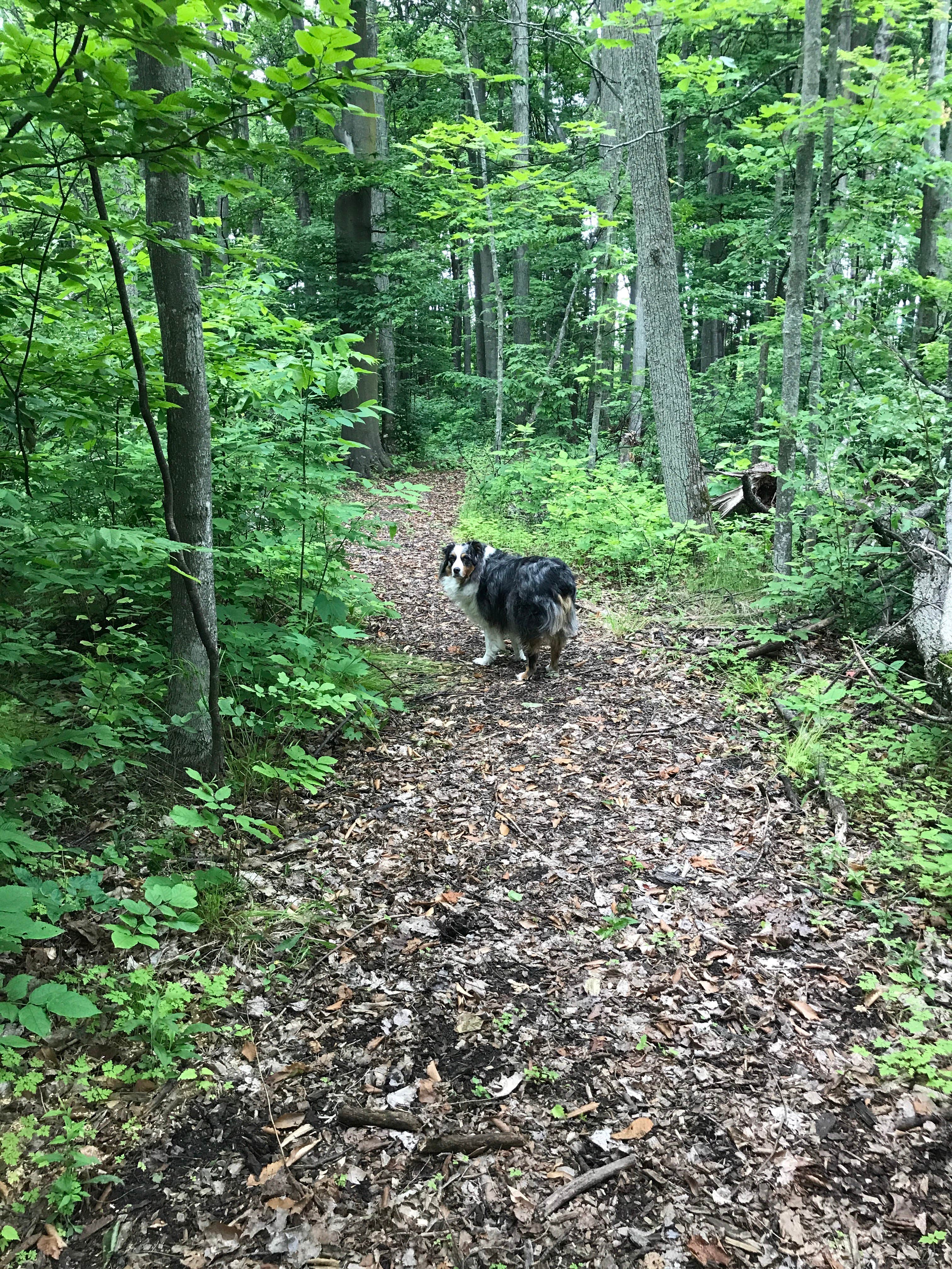 Camper submitted image from Traverse Bay RV Resort - 2