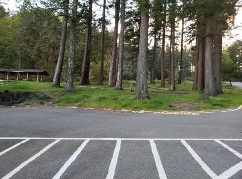 Camper submitted image from Joemma Beach State Park Campground - 4