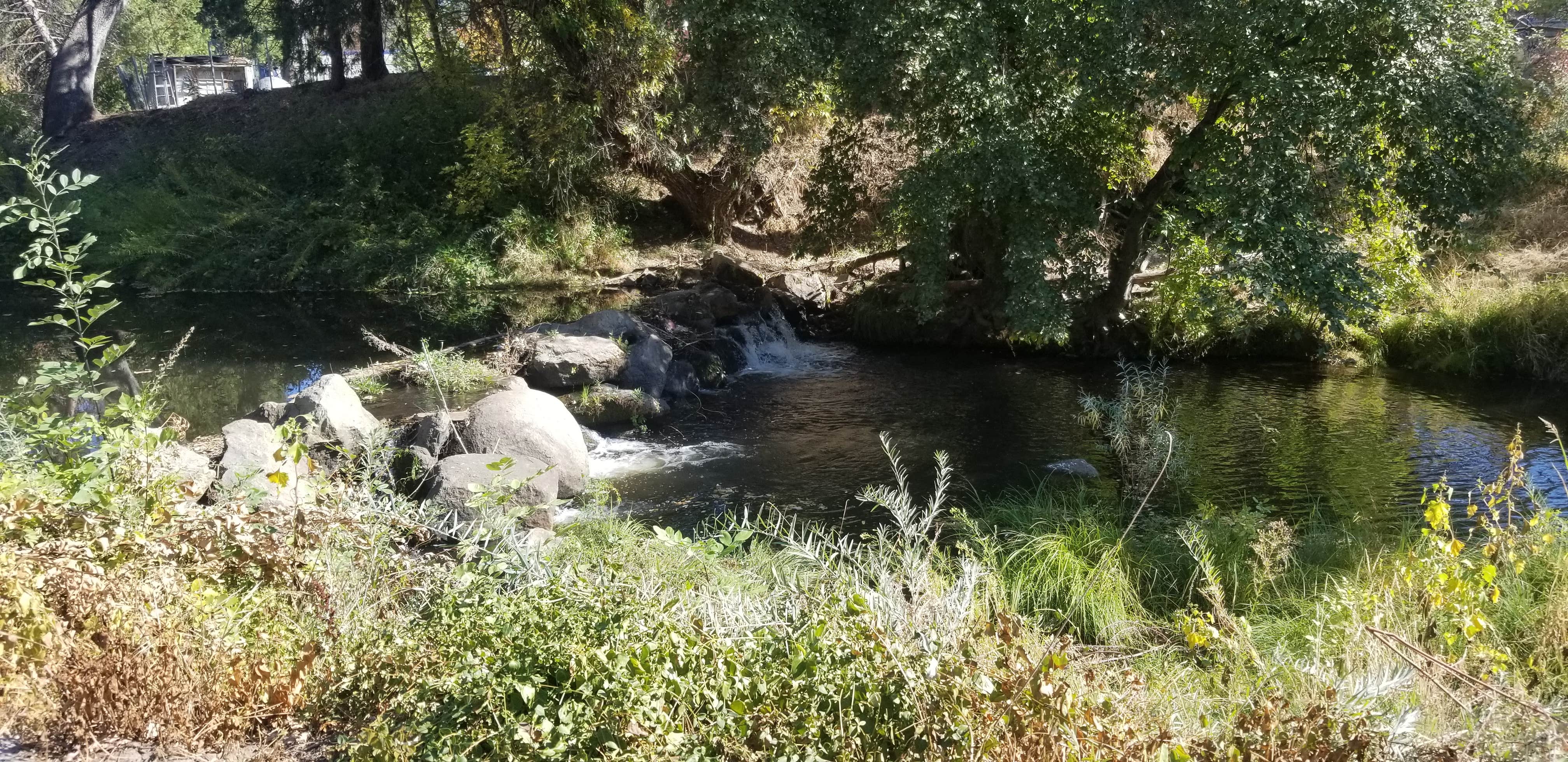 Camper-submitted photo at High Sierra RV Park near Biola, CA