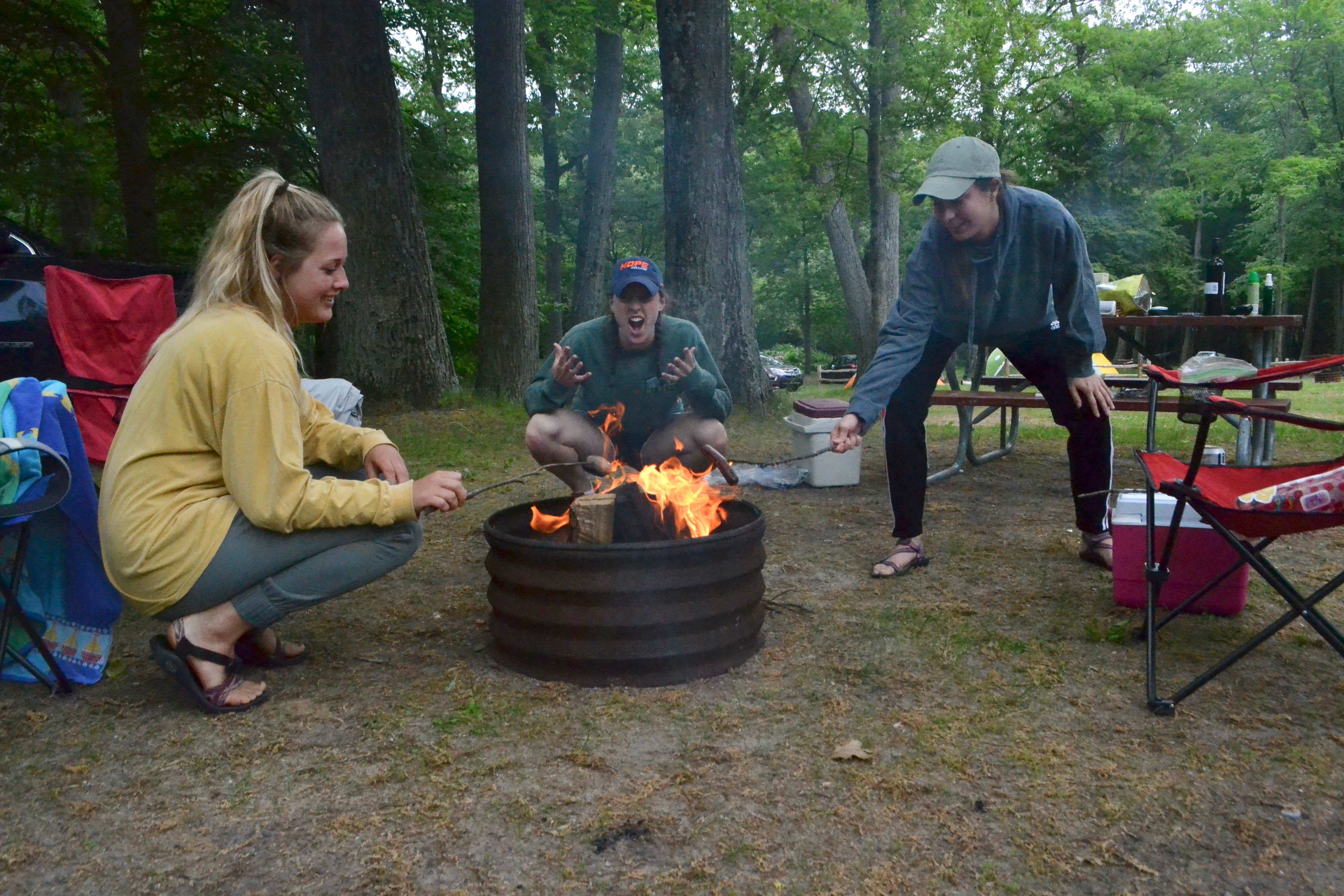 Cartier Park Campground Camping Ludington MI The Dyrt