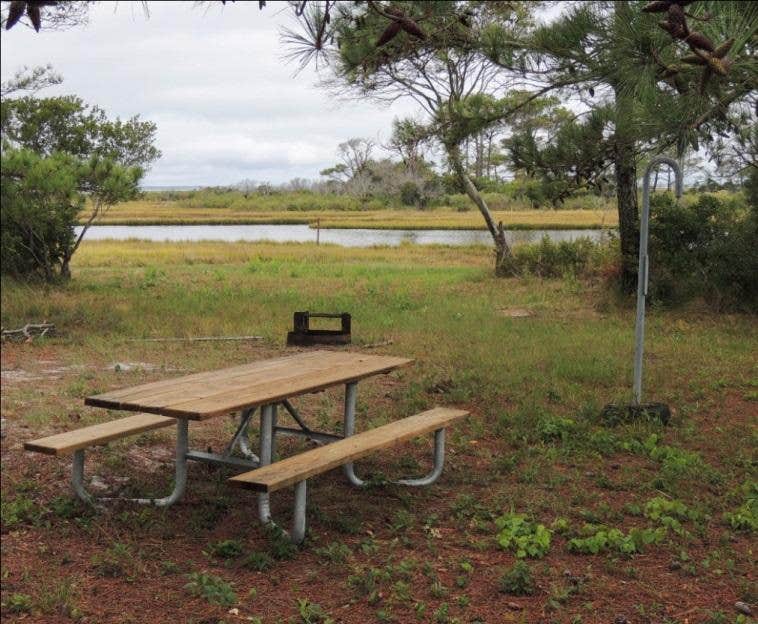 Camper submitted image from Pope Bay Backcountry Site — Assateague Island National Seashore - 1