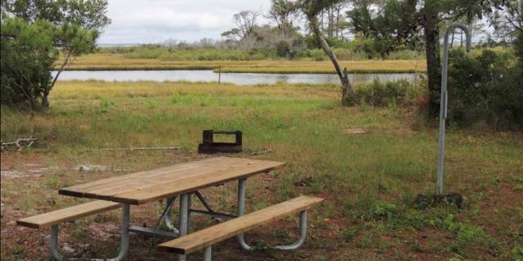 Camper submitted image from Pope Bay Backcountry Site — Assateague Island National Seashore