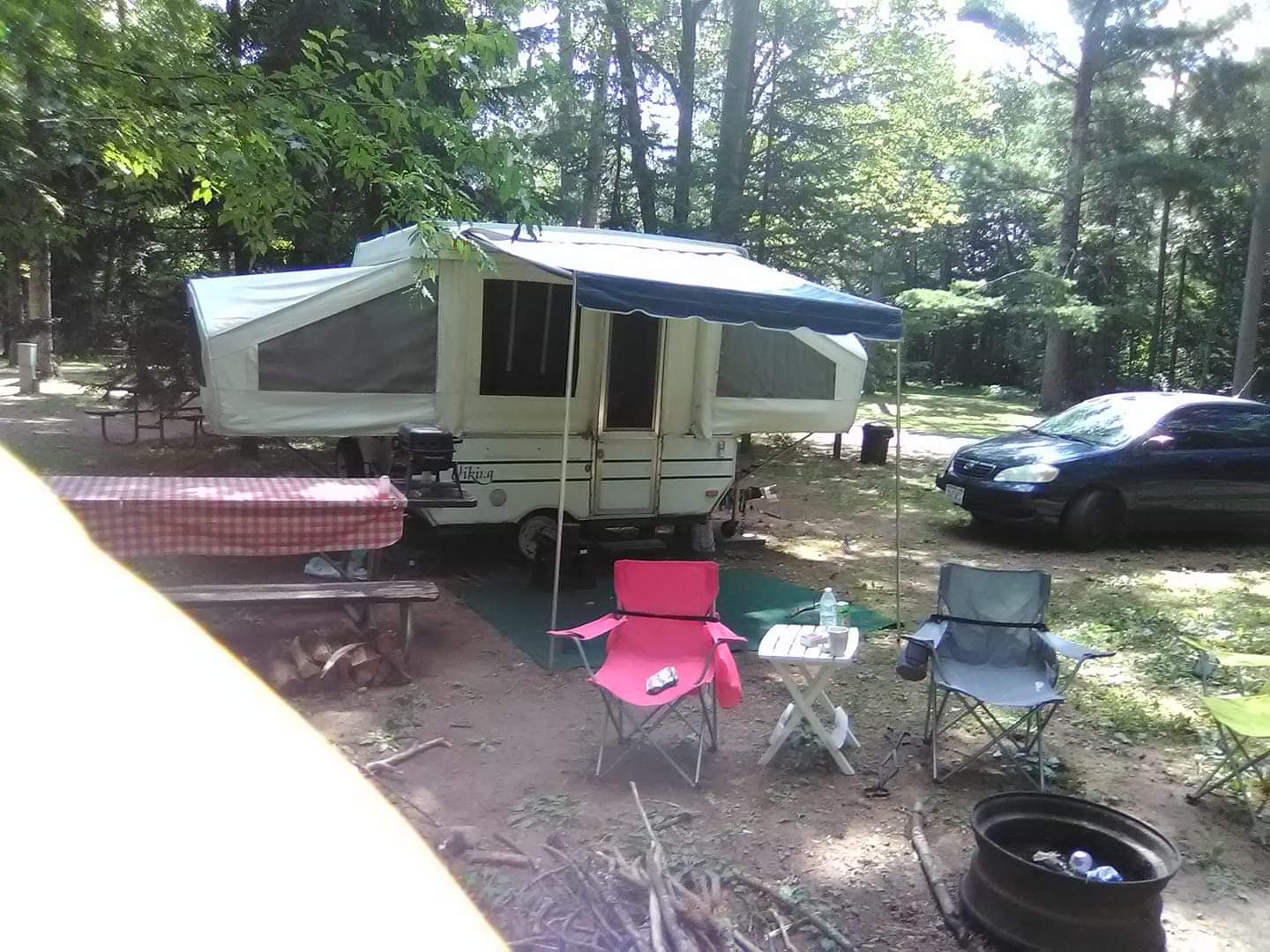 This was our site at the beginning of summer in 2018