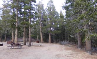 Camping near Tuff Campground: Palisade Group Campground, Swall Meadows, California