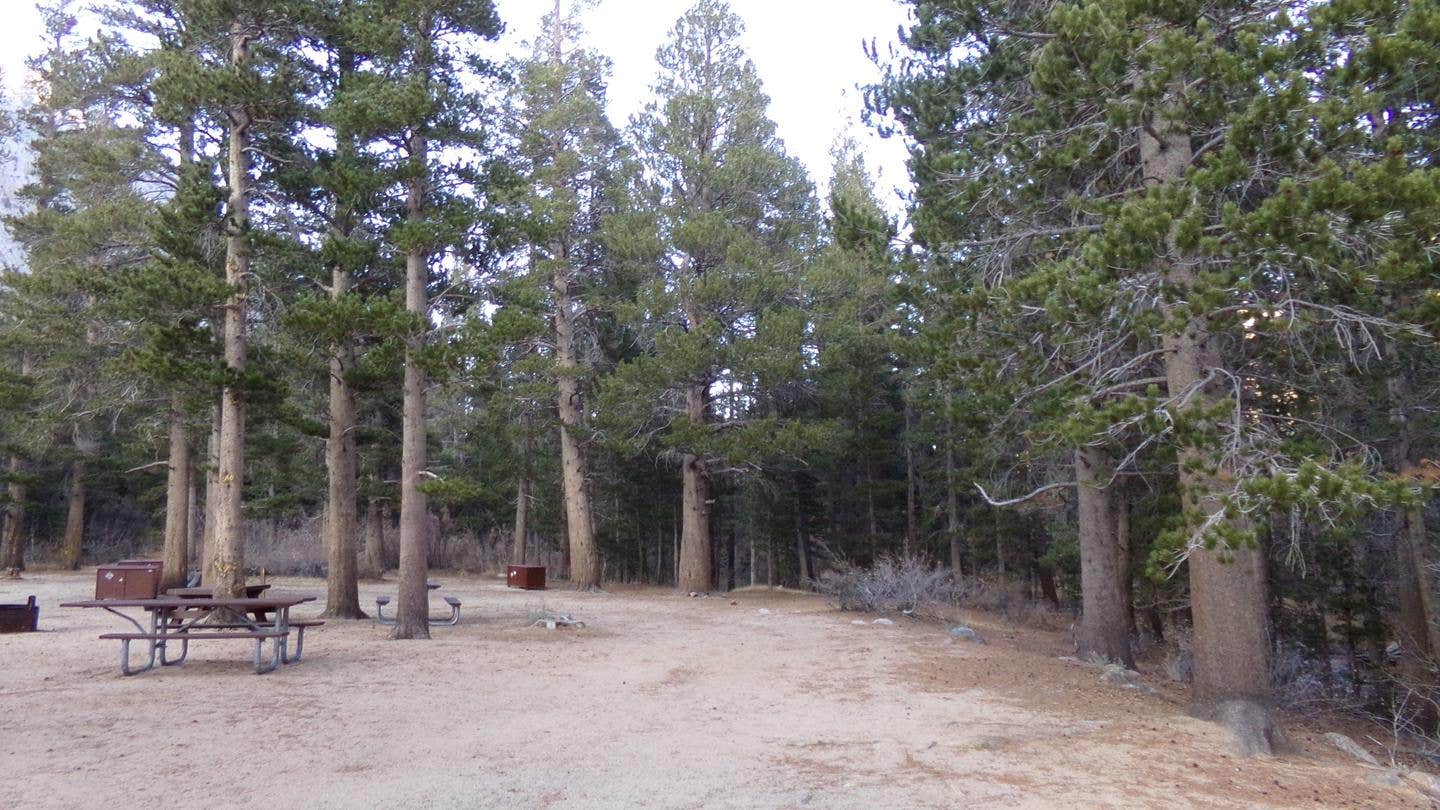 Camper submitted image from Palisade Group Campground - 1