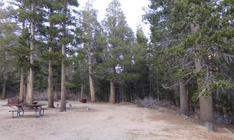 Camping near Rock Creek Lake: Palisade Group Campground, Swall Meadows, California