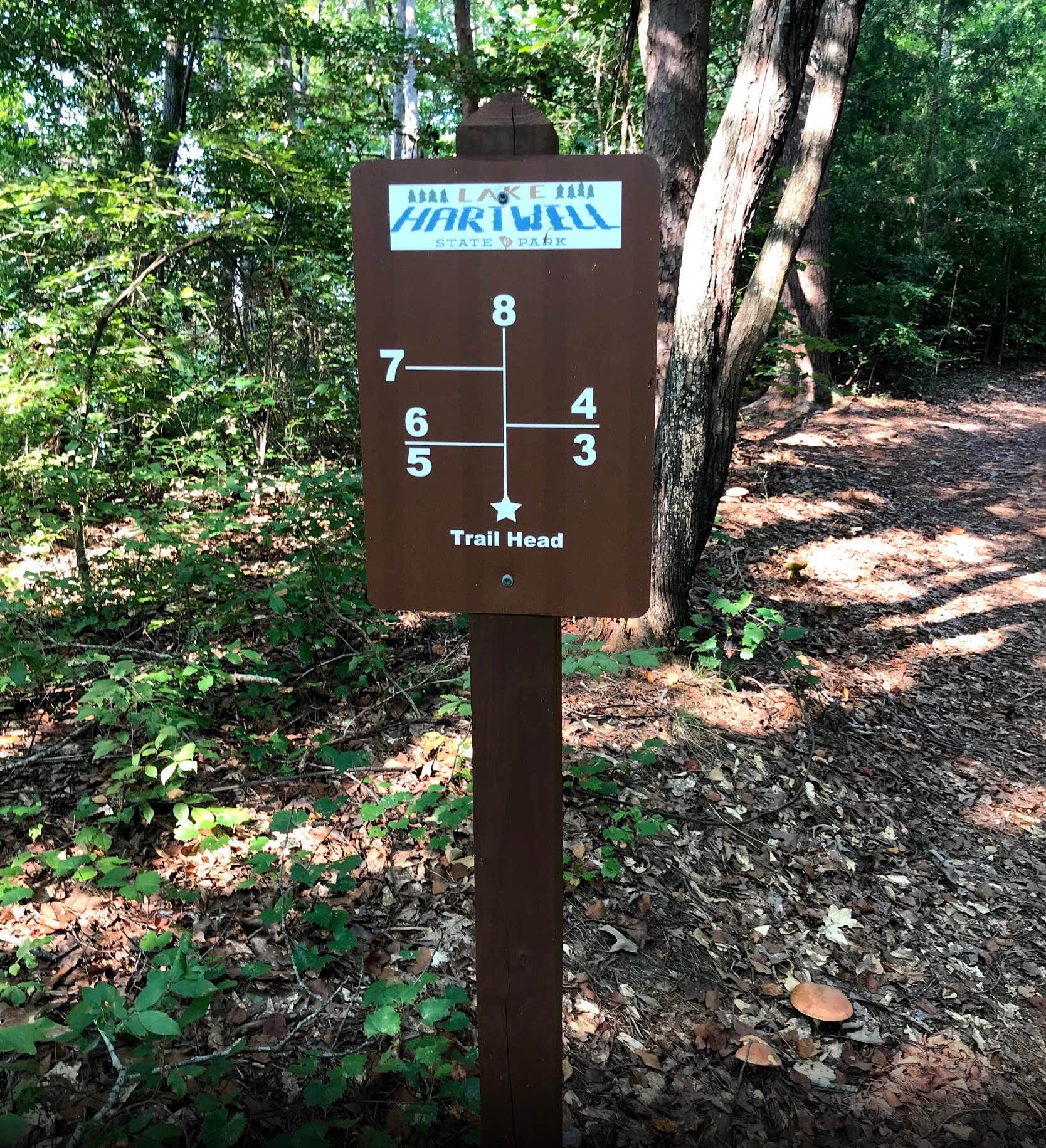 Camper-submitted photo at Lake Hartwell State Park Campground near Lavonia, GA