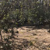 Review photo of Jones Gap State Park Campground by Melissa  R., April 22, 2019