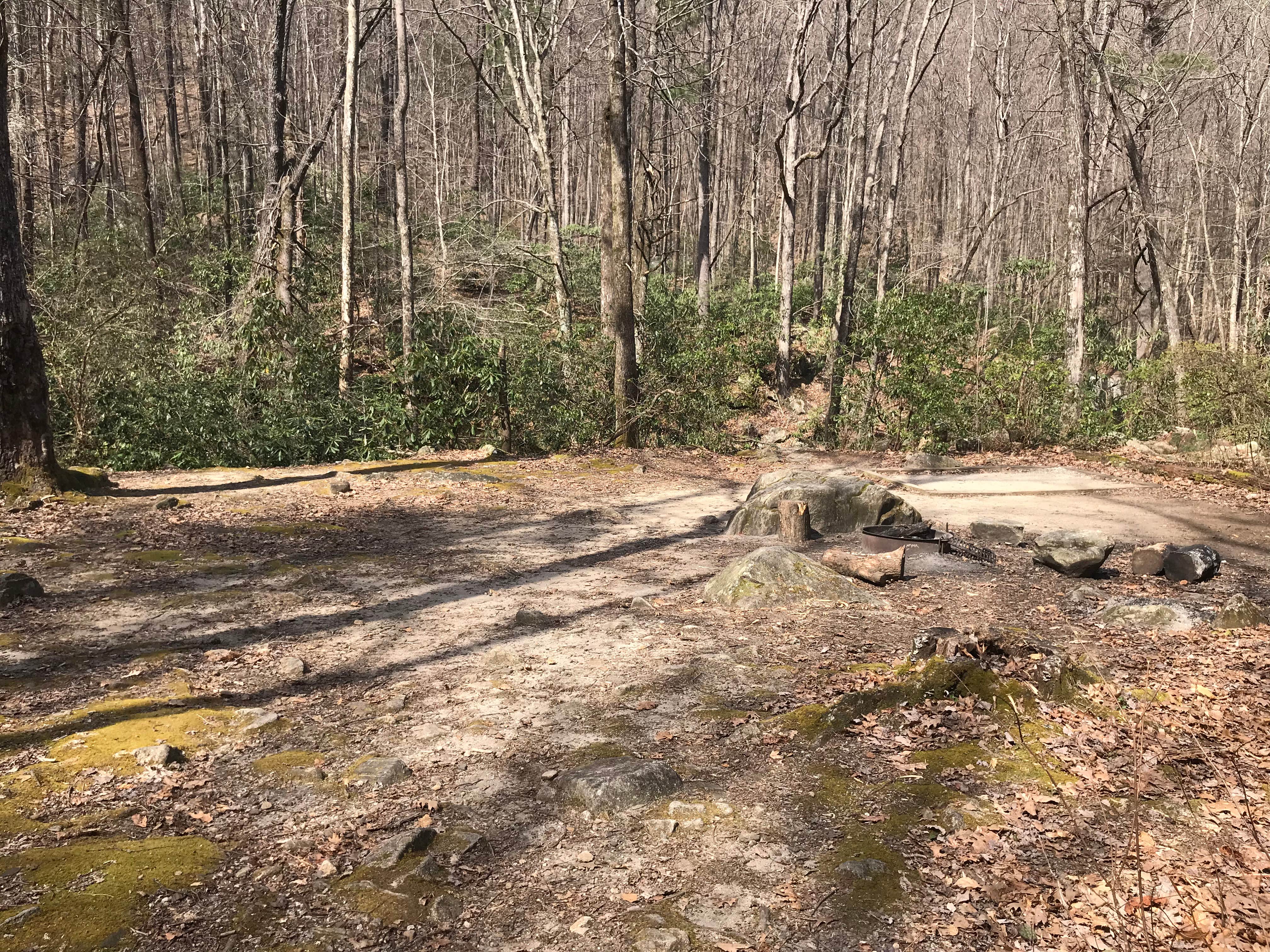 Camper-submitted photo at Jones Gap State Park Campground near Hendersonville, NC