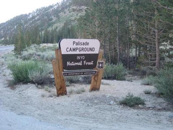 Camper submitted image from Palisade Group Campground - 5