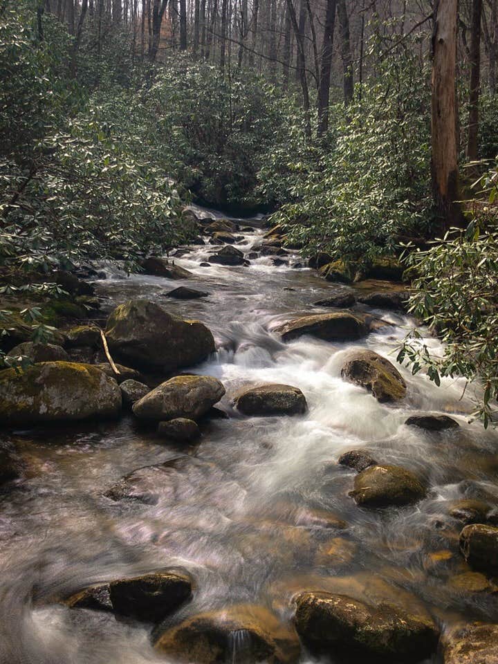 Camper-submitted photo at Jones Gap State Park Campground near Hendersonville, NC