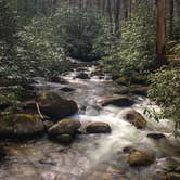 Review photo of Jones Gap State Park Campground by Melissa  R., April 22, 2019