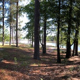 Review photo of Wind Creek State Park Campground by Belinda H., April 22, 2019