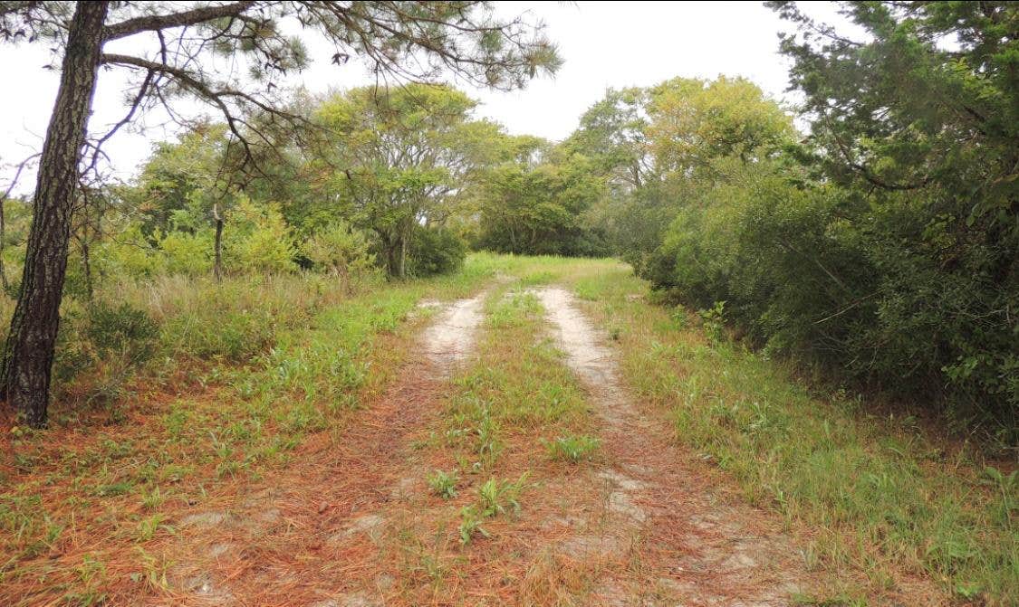 Camper-submitted photo at Pope Bay Backcountry Site — Assateague Island National Seashore near Rehoboth Beach, DE