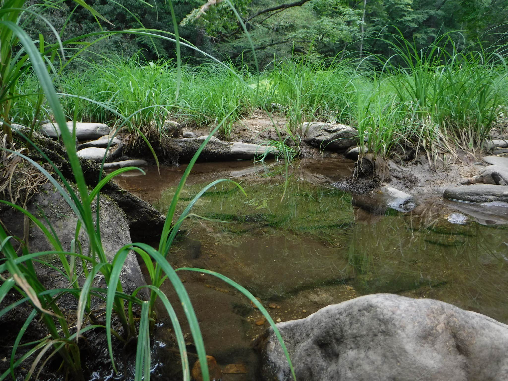 Camper-submitted photo at Burrells Ford near Long Creek, SC