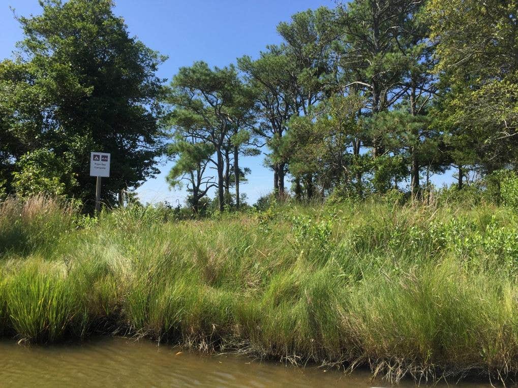Camper-submitted photo at Pope Bay Backcountry Site — Assateague Island National Seashore near Rehoboth Beach, DE