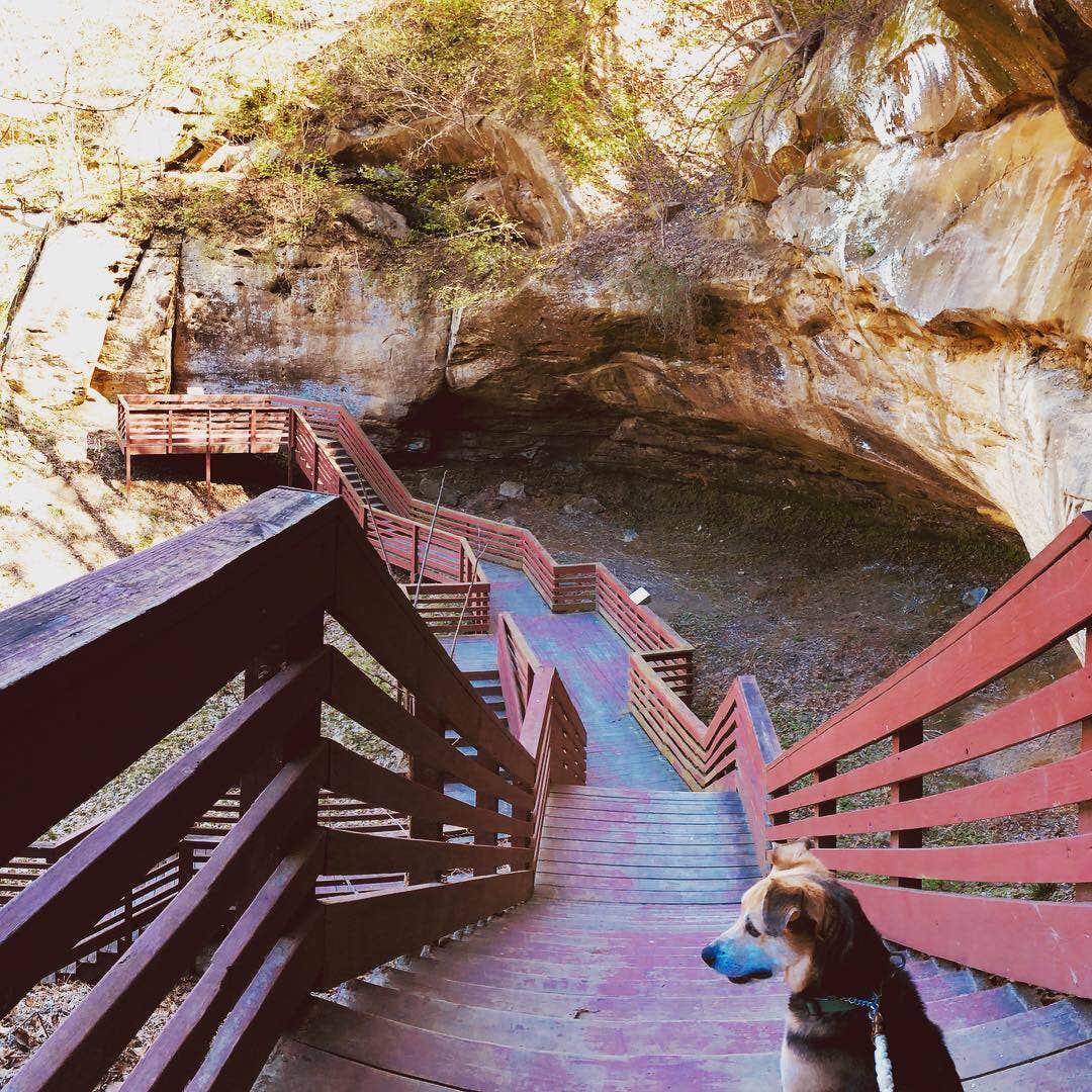 Camping near Big Lake State Park Campground: Hackberry Hollow Campground — Indian Cave State Park, Shubert, Nebraska