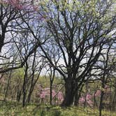 Review photo of Hackberry Hollow Campground — Indian Cave State Park by Meaghan S., April 22, 2019
